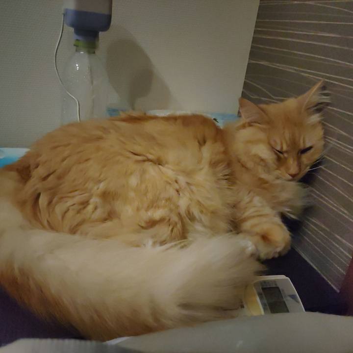 25b2ab51 51ca 4840 8498 f5741a47cc09 1688907580441