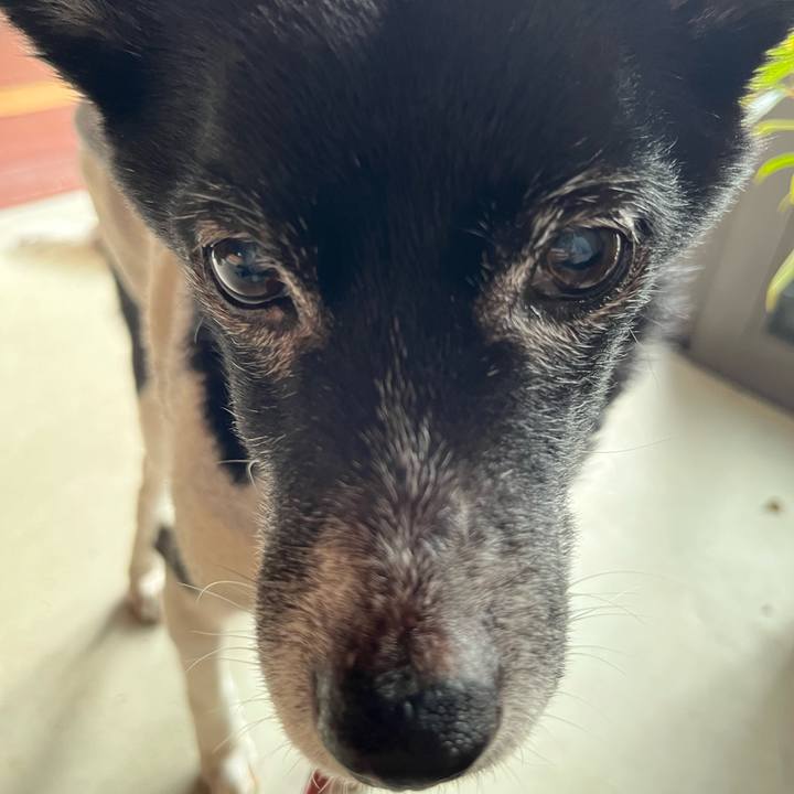 25b2df3c 4bf4 49df bd68 93aaf4cfa70f 1774221799776