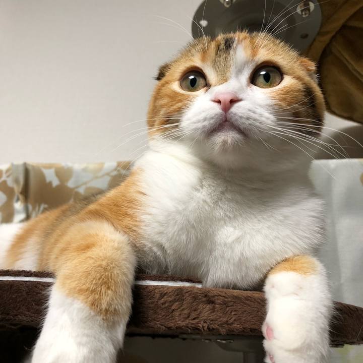 25b30ad4 d49c 46d5 b736 4922d4942f04 1514624077763