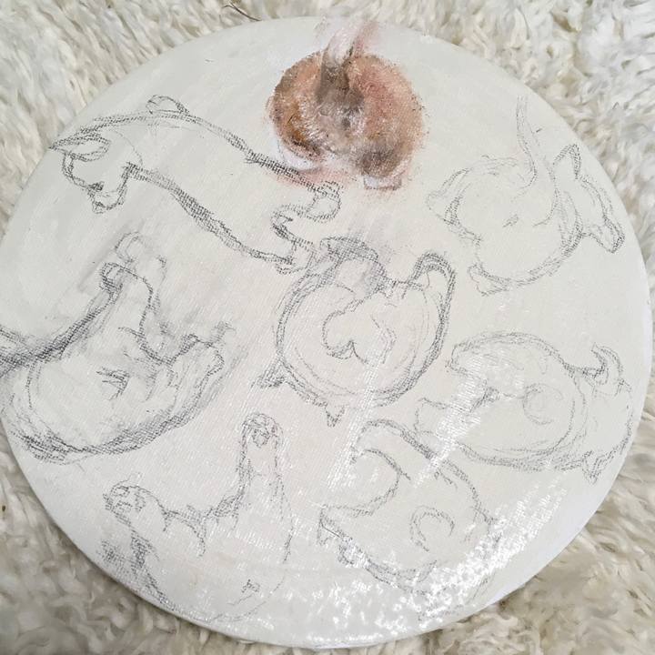 25b33293 cf56 4c6c 8464 2f8a5a032304 1587376372406