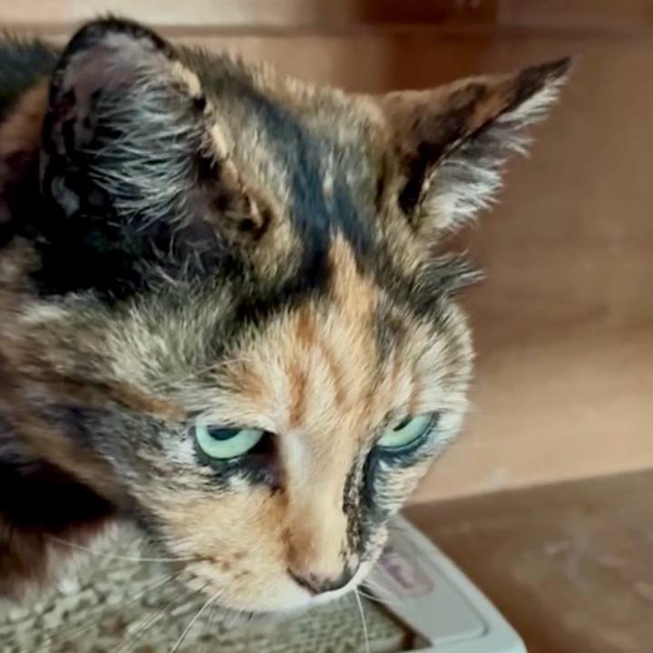 25b3598b 5dc8 4c12 8814 db7b27d99cd7 1746241062904