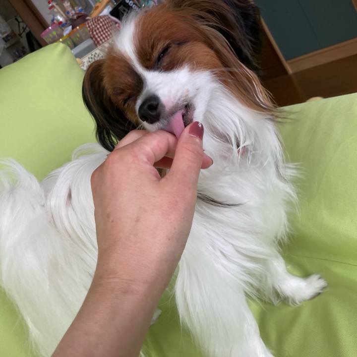 25b39f09 2934 4d38 bff1 91b8fefb22c2 1632011680253