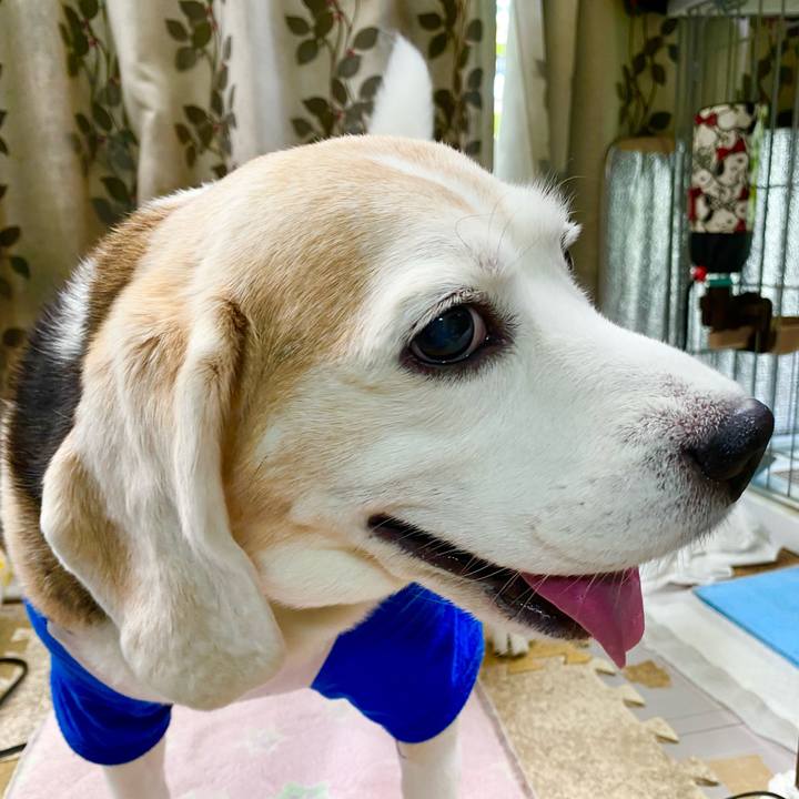 25b3aa90 0620 4d36 86a3 bc9153f42526 1654660962792