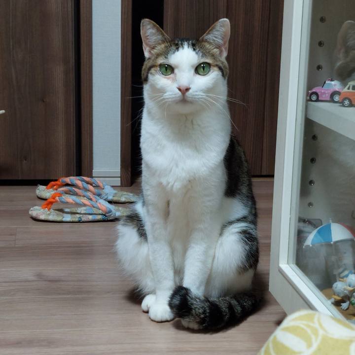 25b3db78 d871 4826 89f5 01bce3c975c9 1693994512548