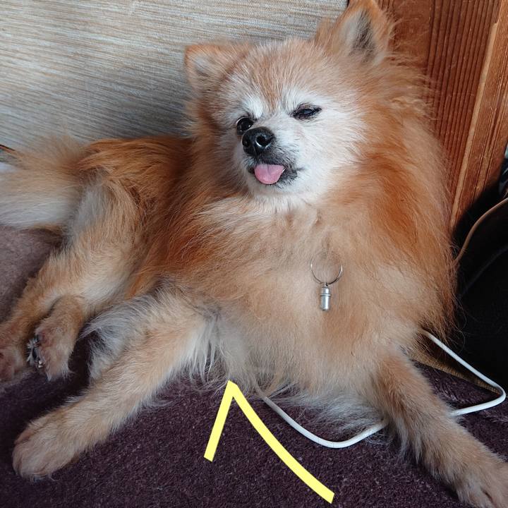 25b3ec67 72e7 4b7c a974 3078c9524fc0 1686780216756