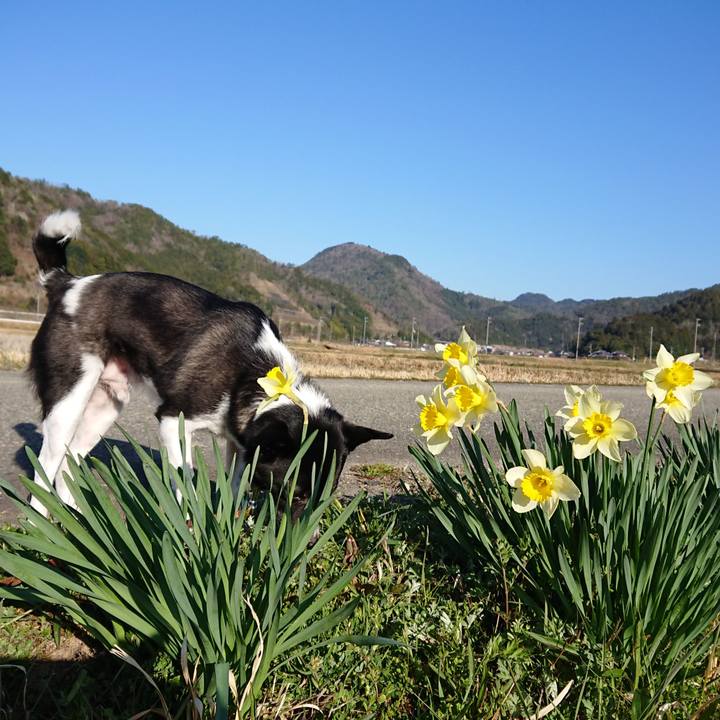 25b43a96 a552 4166 b41a 1d7128d82913 1585093311148