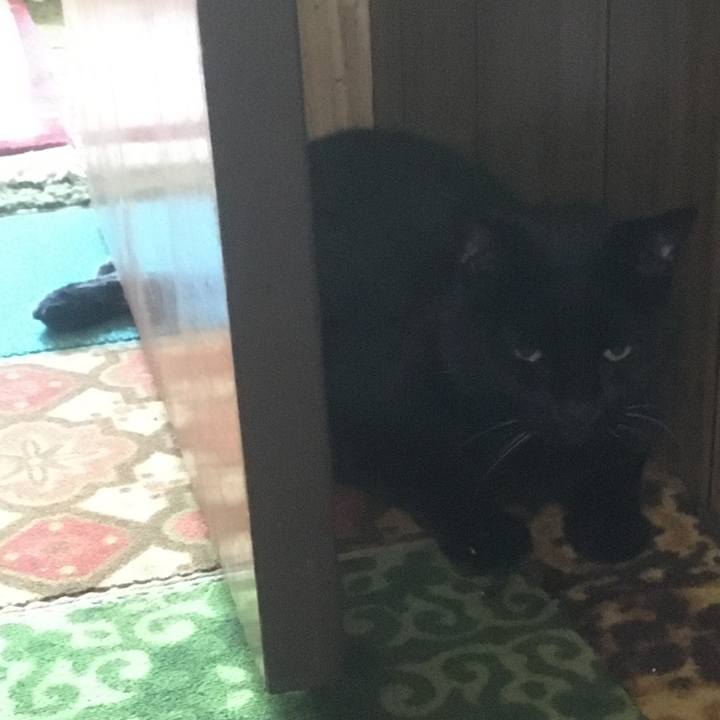 25b488f5 44b7 4f74 b433 3b9a548d539c 1632788594029