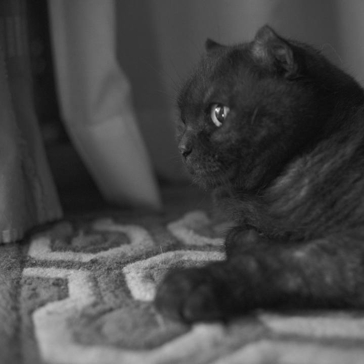 25b49140 ad39 44dd 87f8 27c1708e78ac 1599310904615