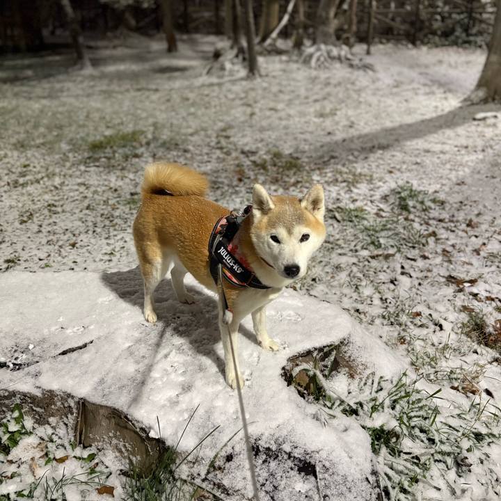 25b49cb7 4fd5 4d3a 97db a4fbe675fc67 1764754329946