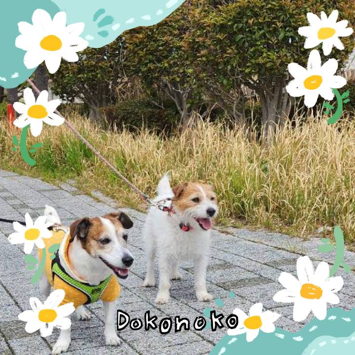 25b5162d 288e 452b 8dd3 6315a1dd0a20 1712483528193