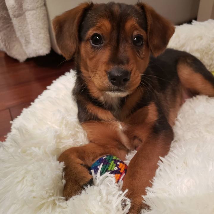 25b51dea c6df 4f45 9ca6 c954d3251def 1759265481008