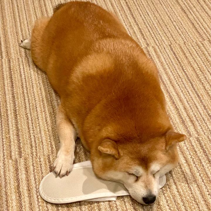 25b532b5 aa4f 4110 9ee3 a9ff6ebf6751 1697373275612