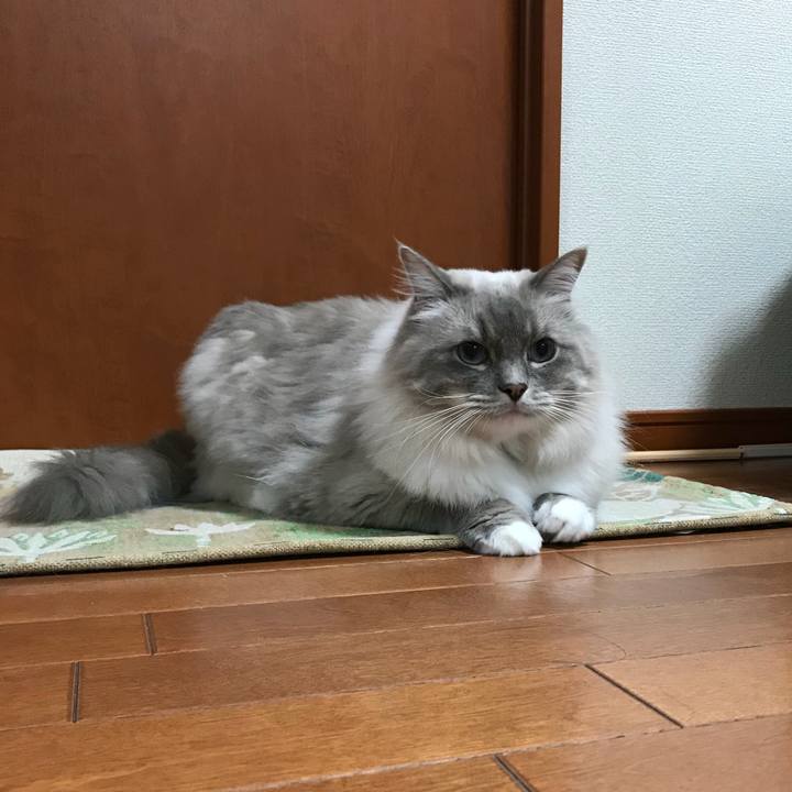 25b540c1 3234 4c63 b753 46f9ec626b65 1510316795300