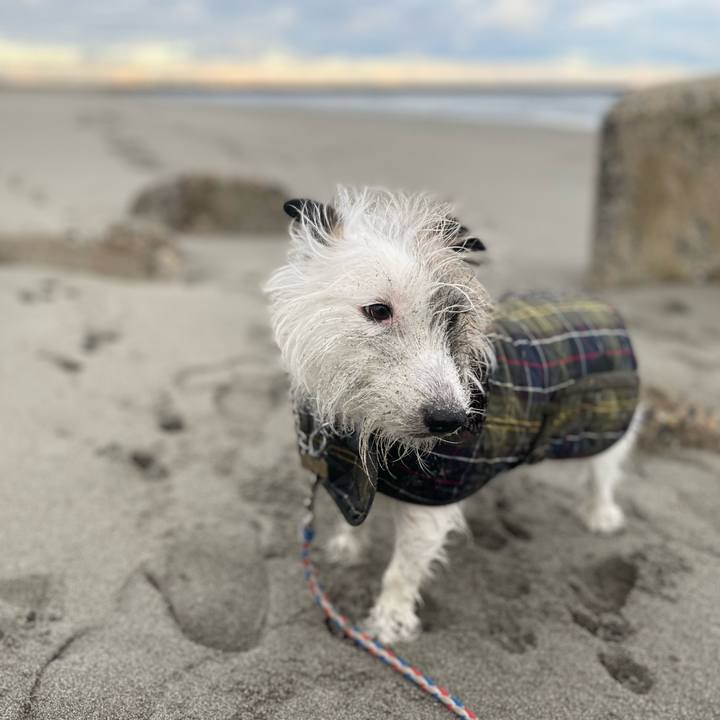 25b54697 a1b7 4110 96aa 6f0956926df3 1706489695864