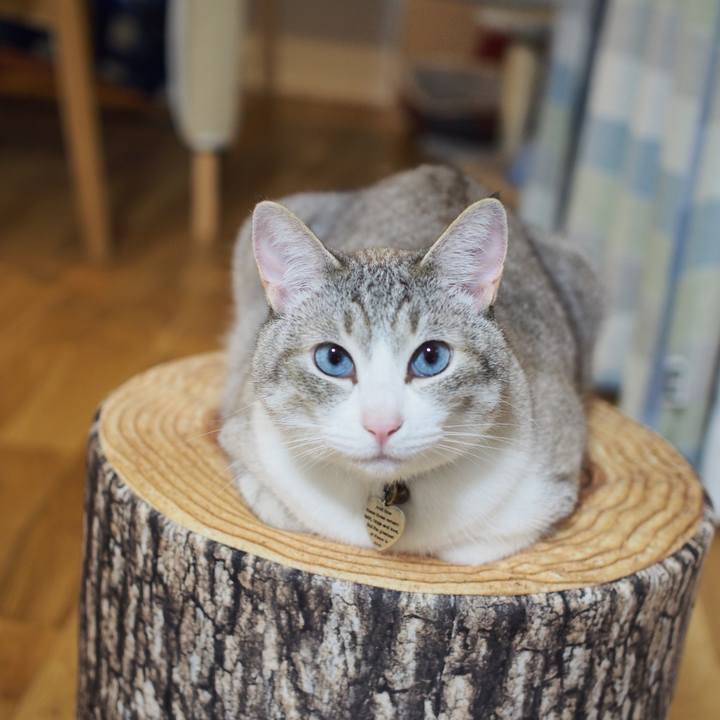 25b54b70 b846 4ec9 ad8c 532234b72d89 1591522293730