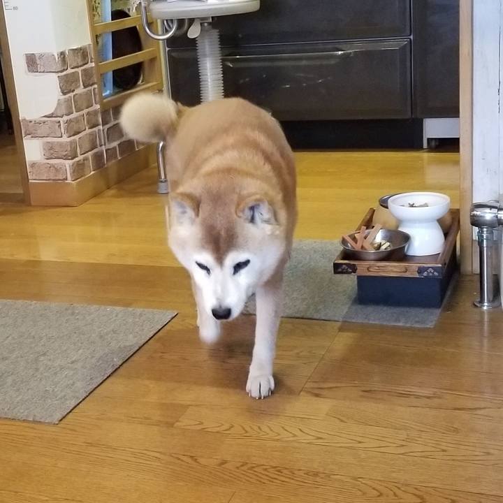 25b54fb0 ef29 4bd6 9e07 1f9f672c10a2 1740093549236