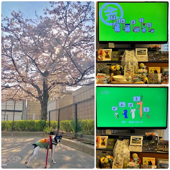 25b56ff9 a183 4301 b8c3 2f3409c6d13e 1680822107744