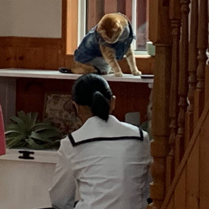 25b59b7d b30b 4f65 9323 70e73c2c11fd 1655849016101