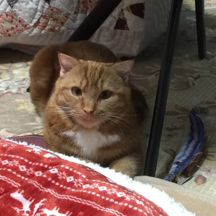 25b5c60f 0f81 4298 8003 aa9a0d642c88 1514975656799