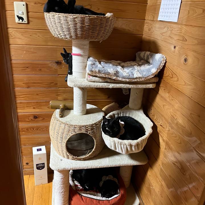 25b5e291 f4d0 426d 8d41 09e2a1923230 1730105067546