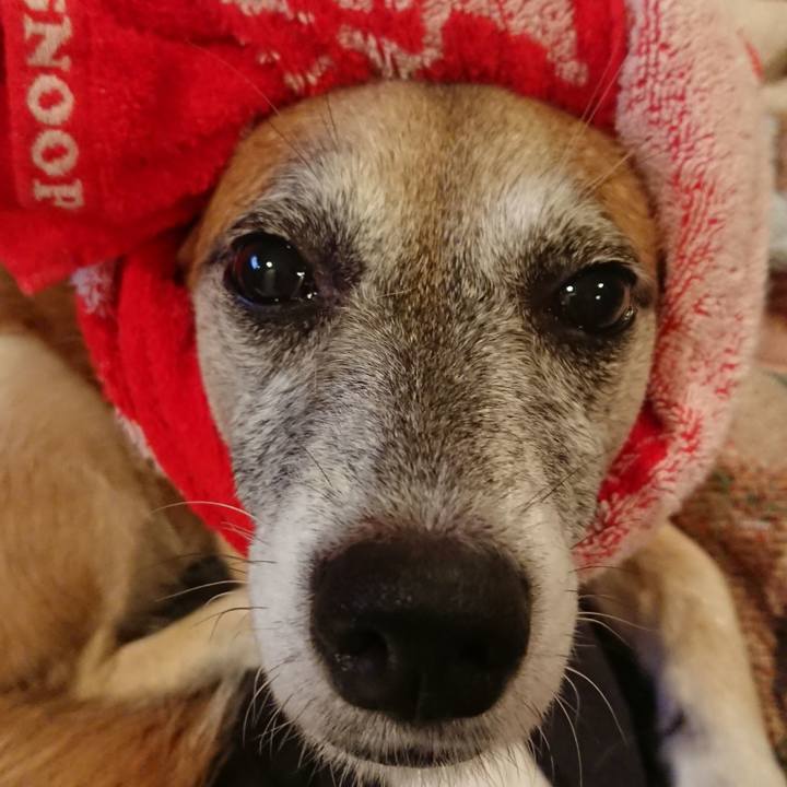 25b628b6 81bb 4d69 afba 0d8ac456cf7a 1691159395952