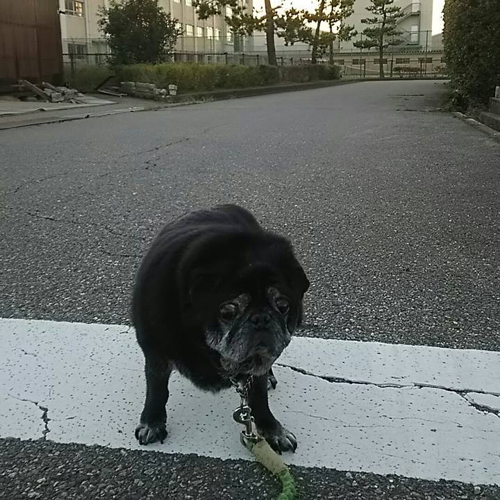 25b636c4 caae 4e25 b601 7824347fc97d 1538901123072