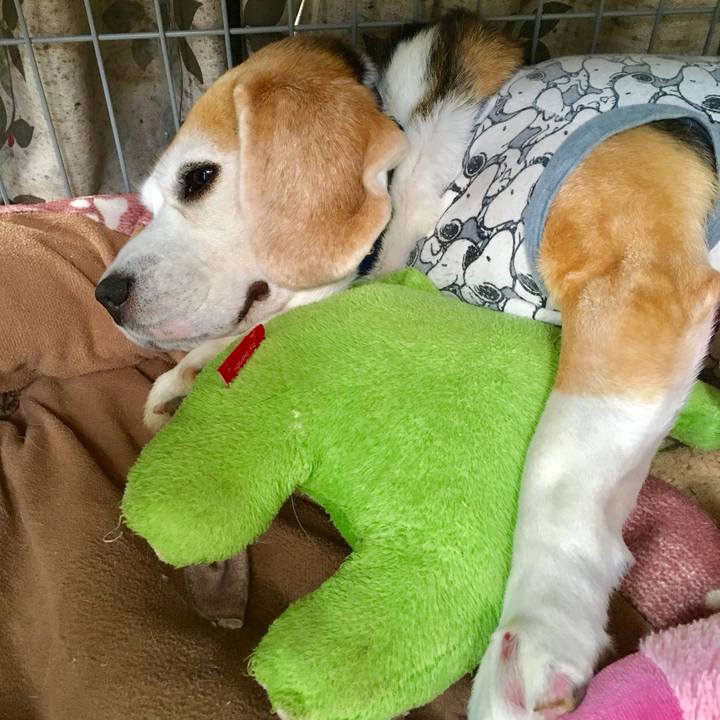 25b64253 665e 4491 81bb 9dca5c701349 1730930969582