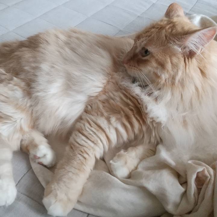 25b65592 e701 447e 8124 28d0ed534d34 1653092449516