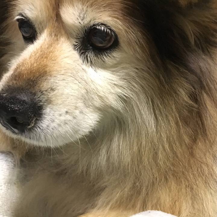 25b655eb a74c 49ad 8ab8 0cc42e3611d7 1607922593035