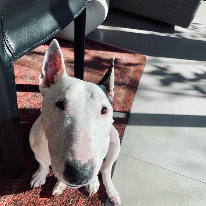 25b673d3 9a26 4bd3 9847 e7c6d76154a8 1610856259827