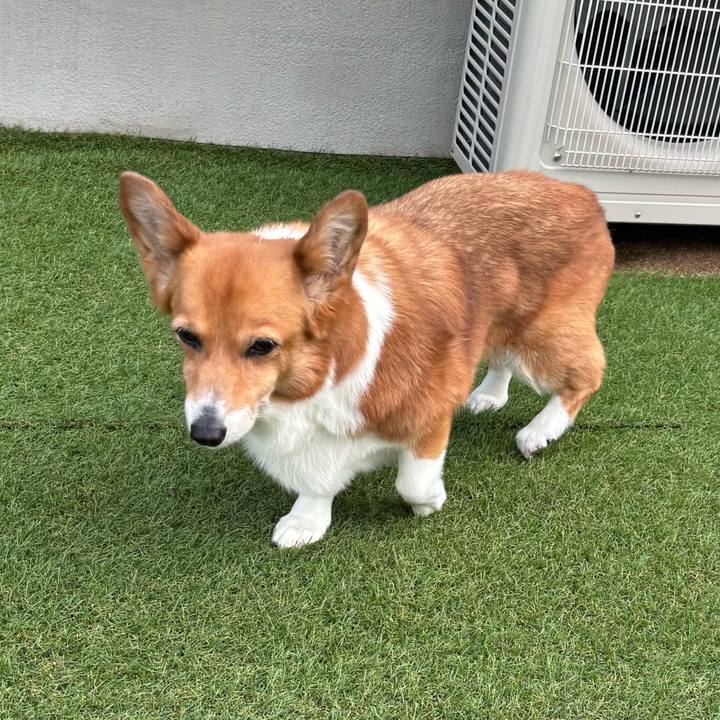 25b69e16 3651 4cef 834e 661bcd7c94a6 1751411609521