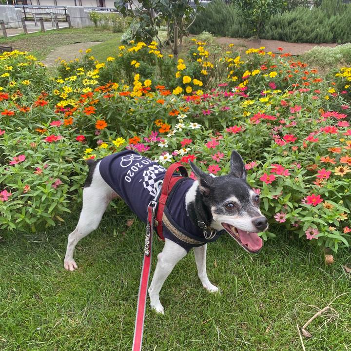 25b6bf09 9e02 4206 aefd 0ed47a348bf9 1602375382796