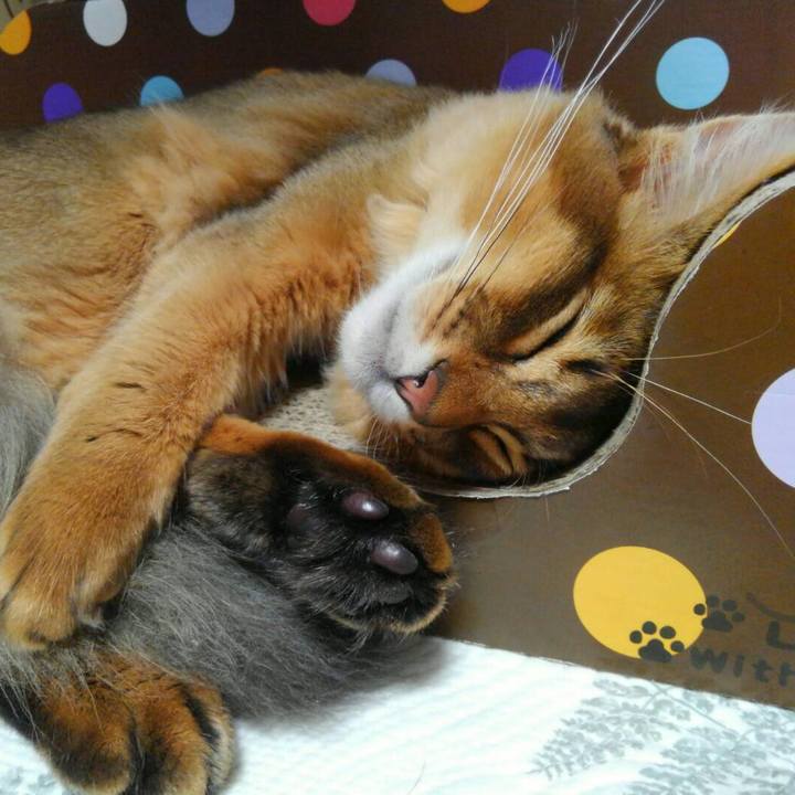 25b6e964 6fad 4da8 8ee9 972045fa5307 1578299015723