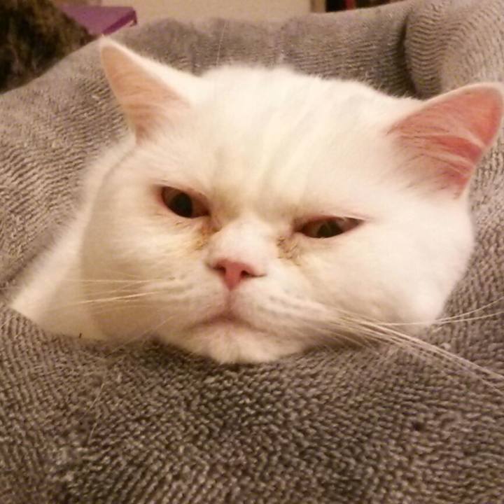 25b7320d 8ca6 44f0 84b5 e77b86044df9 1515326475682