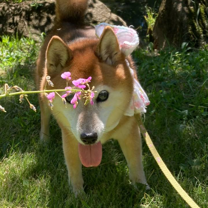 25b7422c 722b 41f6 bb7b 6d4e0ee65aeb 1693886103553