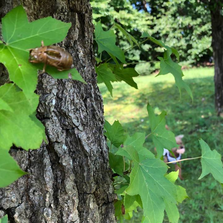 25b76714 9ae2 4bce b237 ec86ff246400 1567220349380