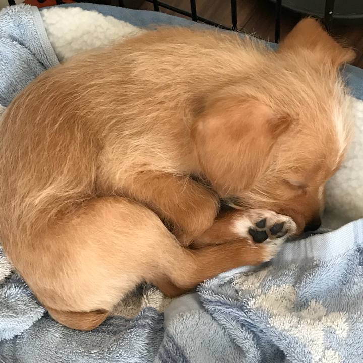 25b7b97a 15a9 44db 860c 9138a25fb1a1 1516500535074