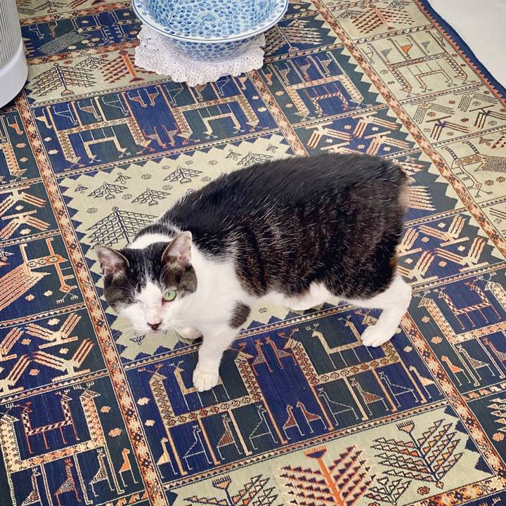 25b7bb3d 9a4e 4609 83e2 bdc25c7a06d5 1586925469727