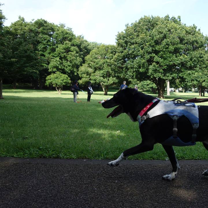 25b7bfb6 3cef 4468 aecc ee5db7623460 1750290206761