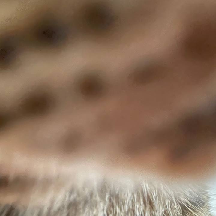 25b7f2d5 fa49 4824 948f 43ec971d13b8 1788181041854