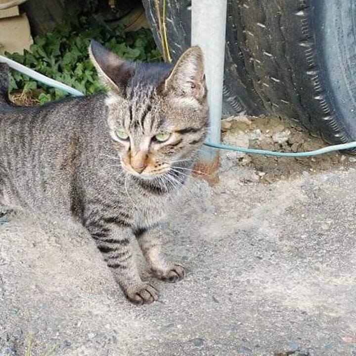 25b7f4f0 4a41 4f14 88e4 fb0344bf88d0 1635230600141