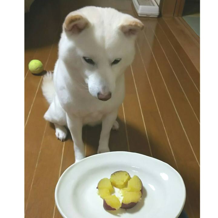 25b85ef2 3f1e 425d b262 2cb1334f8b6d 1584534291060