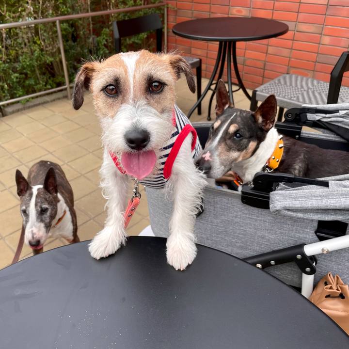 25b862fb c12c 4f5b 9dfd 1b12fa9bc2bb 1624021531304