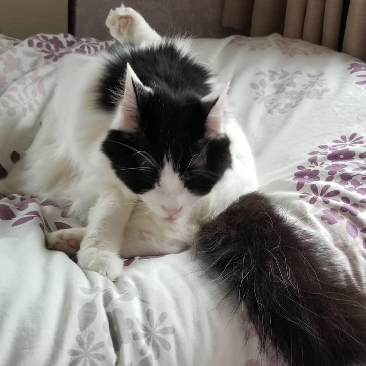 25b89408 ba07 4961 823e 18c0a61bcae6 1556315145316