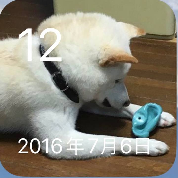 25b89886 2531 48ca b236 015e6c0fc346 1689123417213