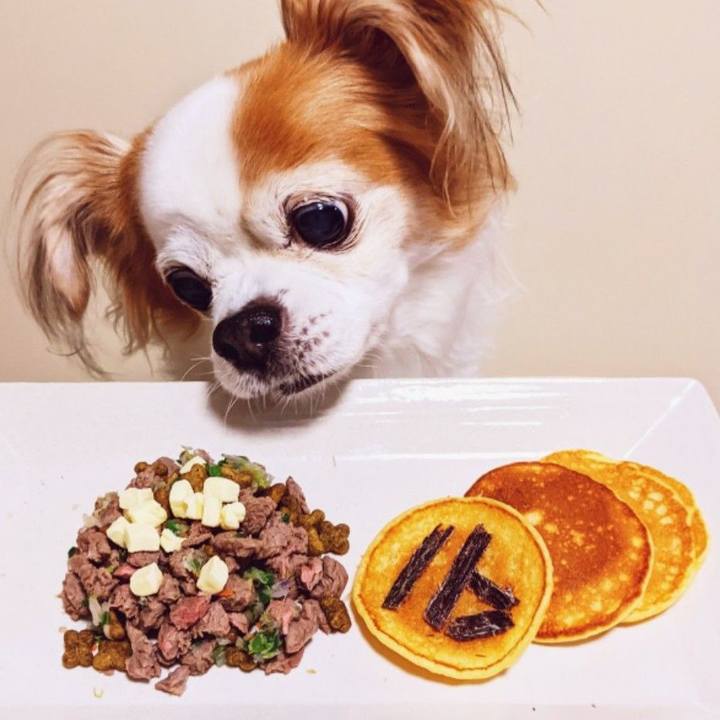 25b8b792 ab2d 4ede 959d 9c328e380345 1636546857384