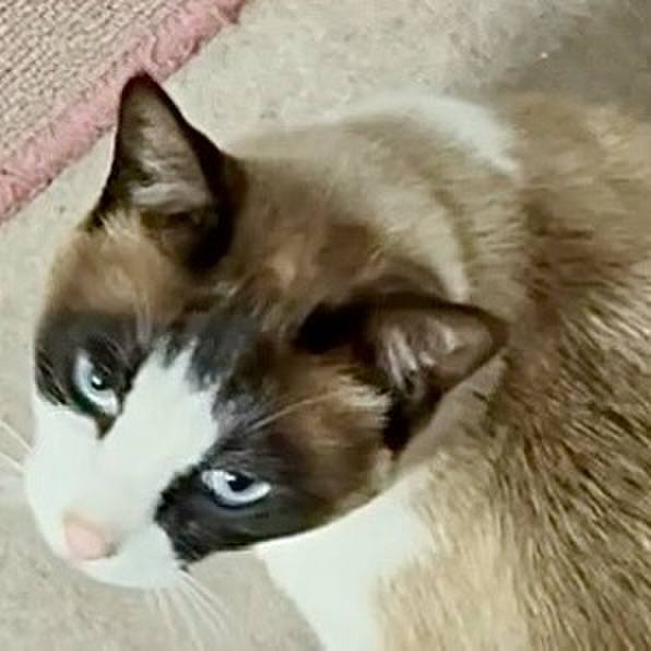 25b8f522 2ec7 43d4 a82a 64403bf48ad1 1746756116984