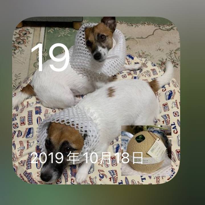 25b90ccf 6aa9 4ab2 afb2 1c1996d875b3 1634608288334