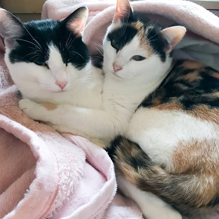 25b91ff5 d709 4a4b 807e ab2cf0e9e859 1514884422369