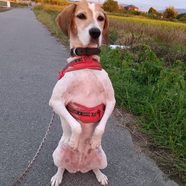 25b934f1 636a 4672 a47a e35ace189ce5 1728128005732